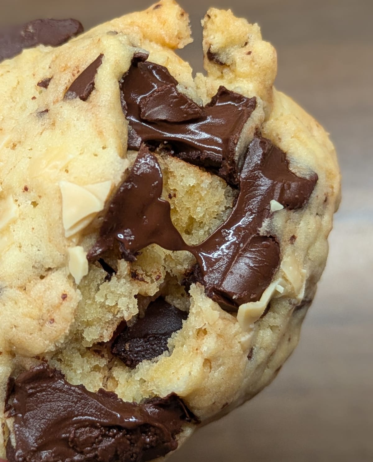 Double-Chocolate-Cookies